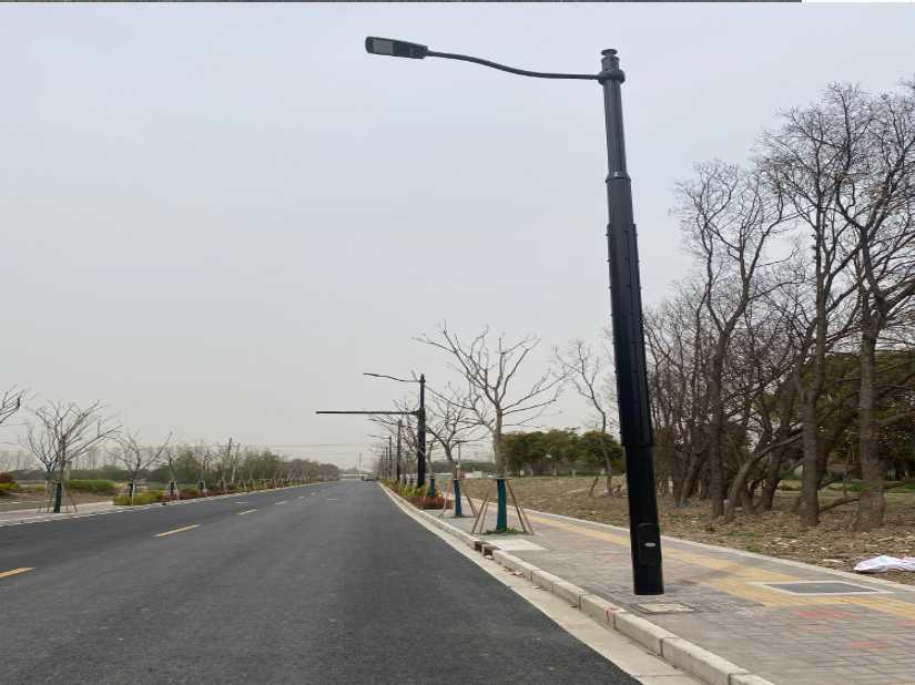 鹿寨县上海综合杆 太阳能路灯工程